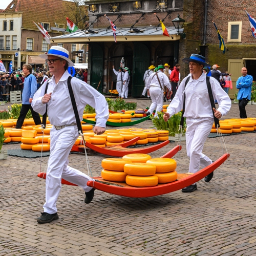 Cheese Market