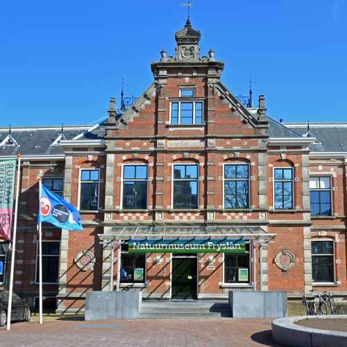 National History Museum Fryslan