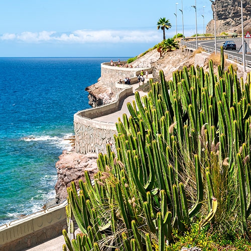 Coastline view